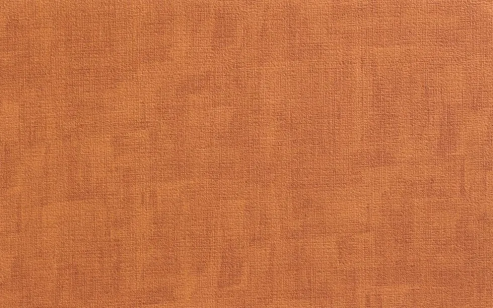 Set de table PVC effet cuir coloris caramel Aran - 45 x 33 cm