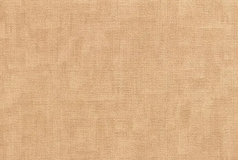 Set de table PVC effet cuir coloris camel Aran - 45 x 33 cm