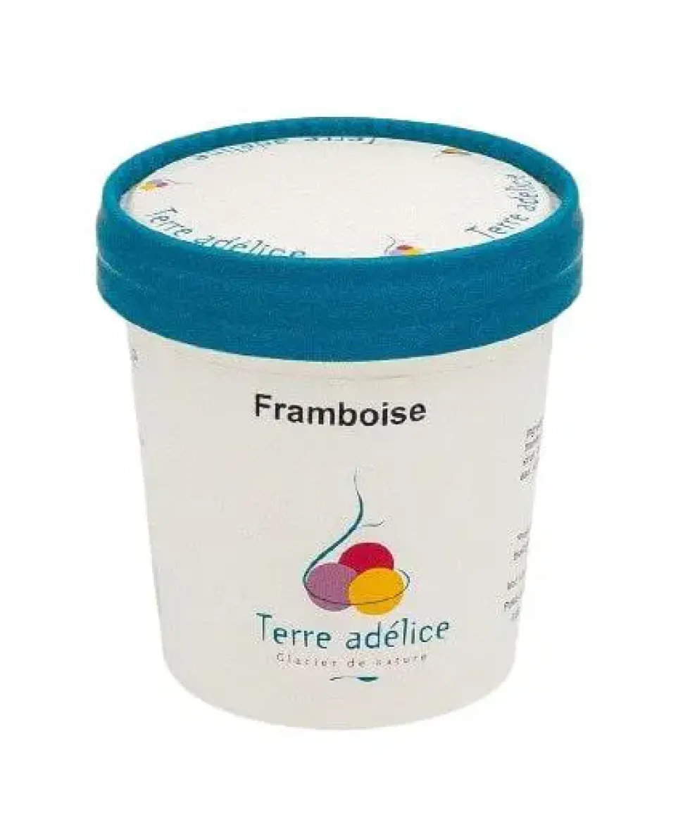 Sorbet framboise Terre Adélice - Pot de 120 ml