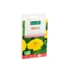 Souci bio botanic® - graines à semer (3 m²)