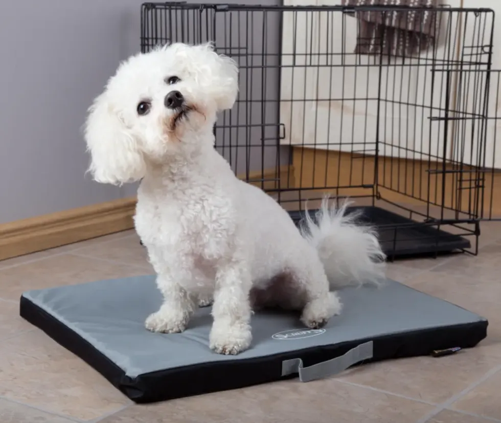 Tapis imperméable pour chien gris Expédition Scruffs – Taille M