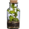 Terrarium autonome Barrate M botanic® - Ø 6,7 x 13,5 cm