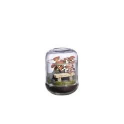 Terrarium autonome Capsule Landscape botanic®
