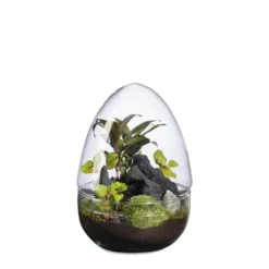 Terrarium autonome Dyno Landscape botanic® - taille L