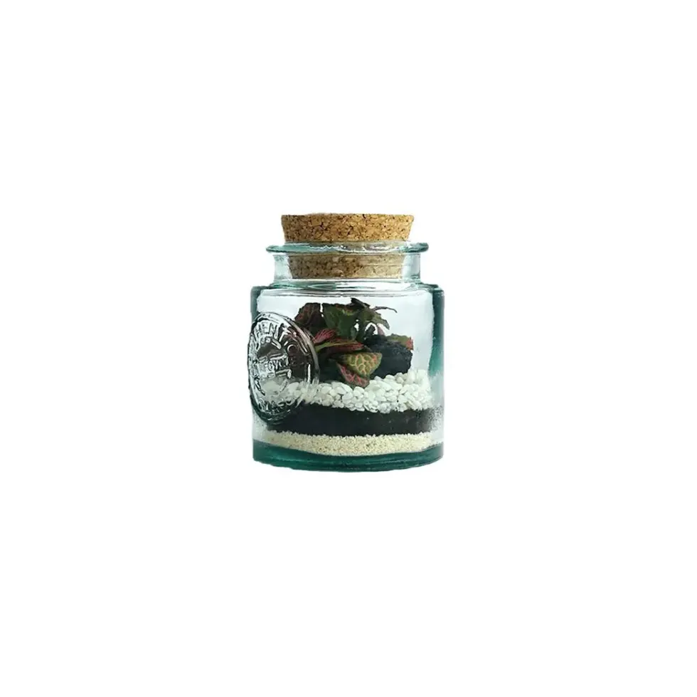 Terrarium autonome Mao M botanic® - Ø 10 x 13 cm