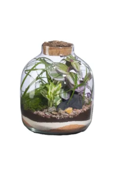 Terrarium autonome Mensa M botanic® - Ø 10-23 x 28 cm