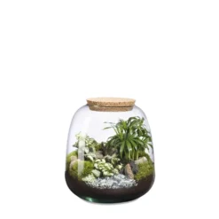 Terrarium autonome Moly M Landscape botanic®
