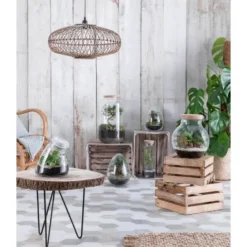 Terrarium Bonbonne M en verre transparent Ø 23 x H 41 cm