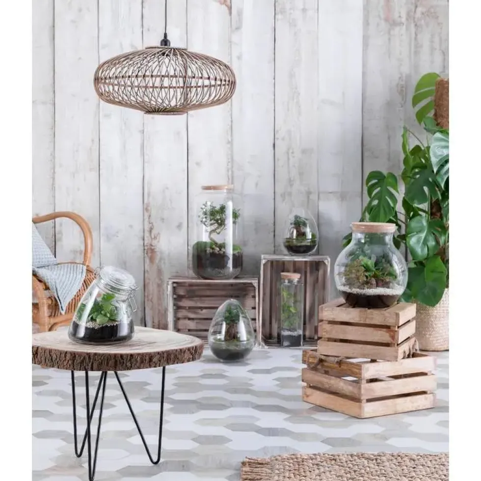 Terrarium Bonbonne M en verre transparent Ø 23 x H 41 cm