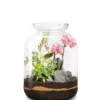 Terrarium Bonbonne S Elégant botanic® - Ø 25 x 31 cm