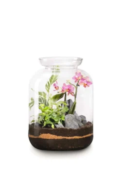 Terrarium Bonbonne S Elégant botanic® - Ø 25 x 31 cm
