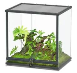 Terrarium coloris gris anthracite Terratlantis Smartline 60 - 60 x 45 x 60 cm