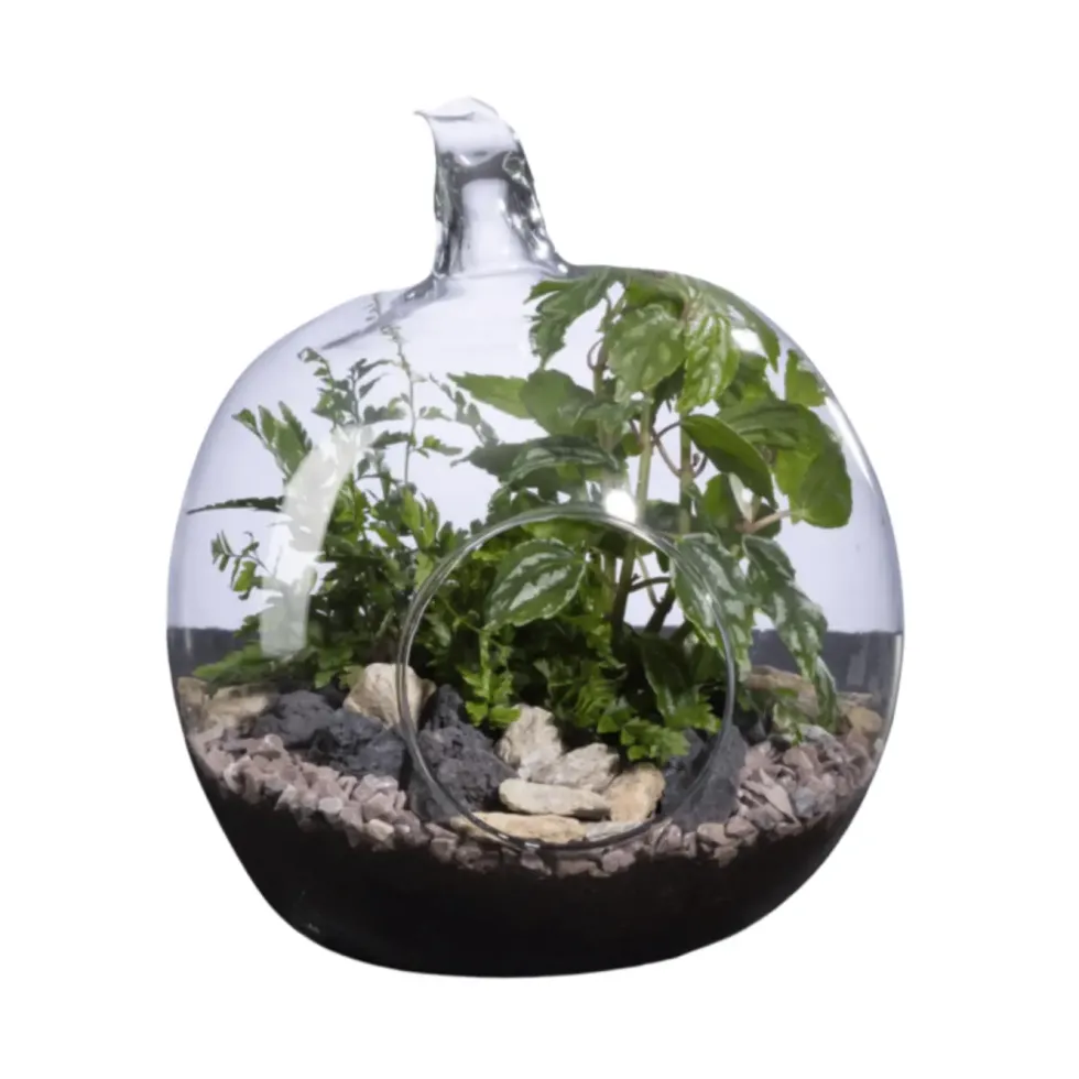 Terrarium Pomme Naturalys - Ø 19 × 20 cm