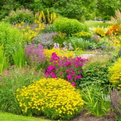 Terreau pour plantes fleuries botanic®