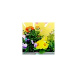 Thème Printemps Petillant - Le pot de 3 litres