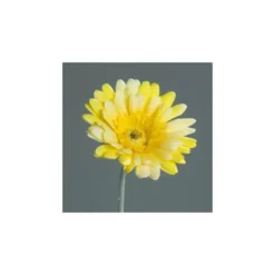 Tige de Gerbera décoratif jaune - 56 cm