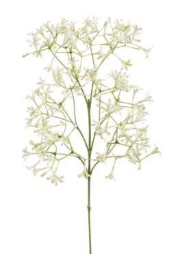 Tige de Saxifraga artificielle crème - 20 x 9 x 63 cm