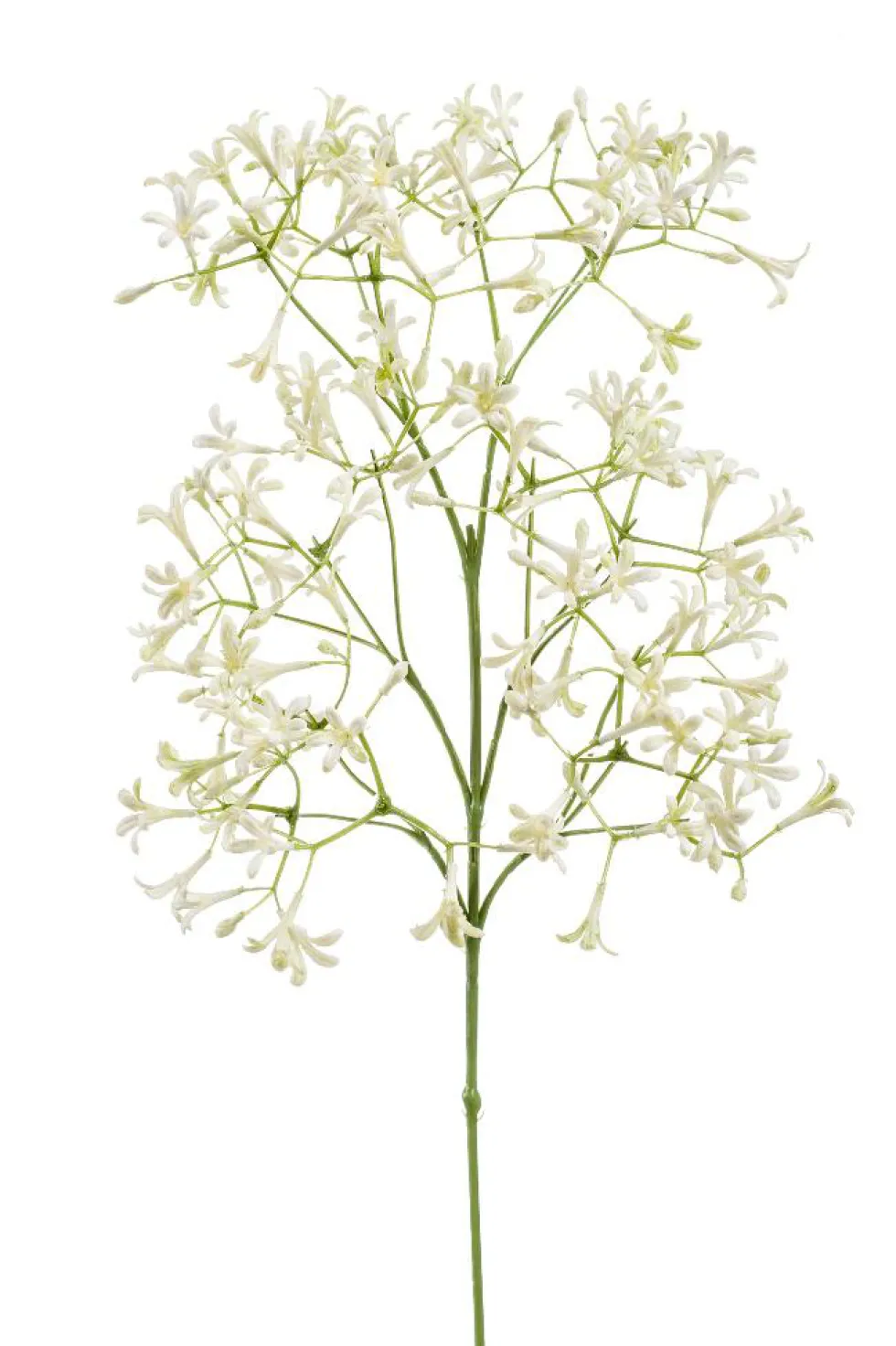 Tige de Saxifraga artificielle crème - 20 x 9 x 63 cm