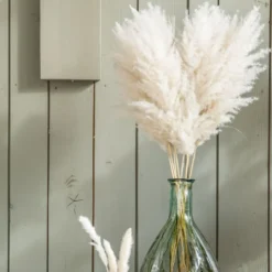 Tige d'herbe de la Pampa (Cortaderia) blanche Naturalys - 115 cm