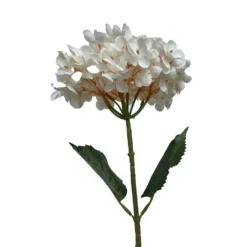 Tige d’hortensia blanche en papier aspect fleur séchée Naturalys - 65 cm