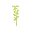 Étiquette basilic petit modèle vert anis H22,6 cm