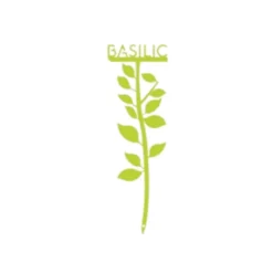 Étiquette basilic petit modèle vert anis H22,6 cm