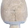 Tortue en granit taupe Vitis in Situ - 10 cm