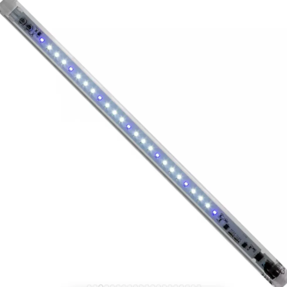Tube LED pour aquarium Day & Night, 10W, à effet marin, AQUAEL Leddy 2.0 - 41.5cm