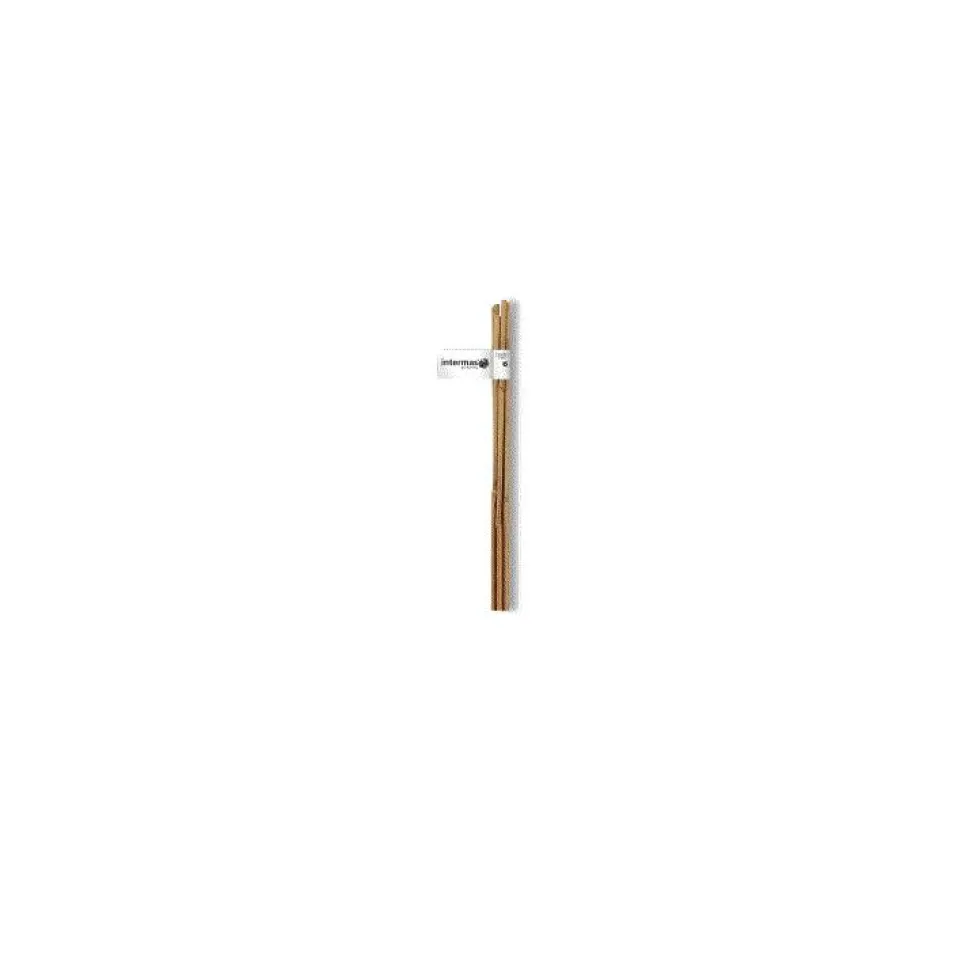 Tuteur bambou naturel coloris beige Ø 6/8 mm x 0,60 m