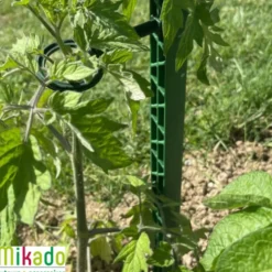Tuteur à tomate avec 4 attaches coloris vert - 180 cm