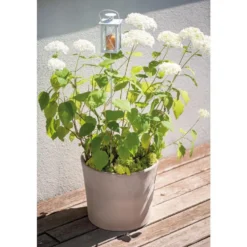 Vase Cilindrico Gris grafite en terre cuite D30 x H25,8