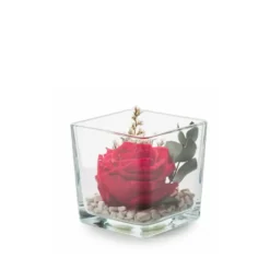 Verrine carrée de végétaux stabilisés rose rouge et eucalyptus Naturalys Genova 10 - 10 x 10 x 10 cm