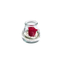 Verrine de végétaux stabilisés rose rouge Naturalys Samy S - Ø 10 x H 10 cm