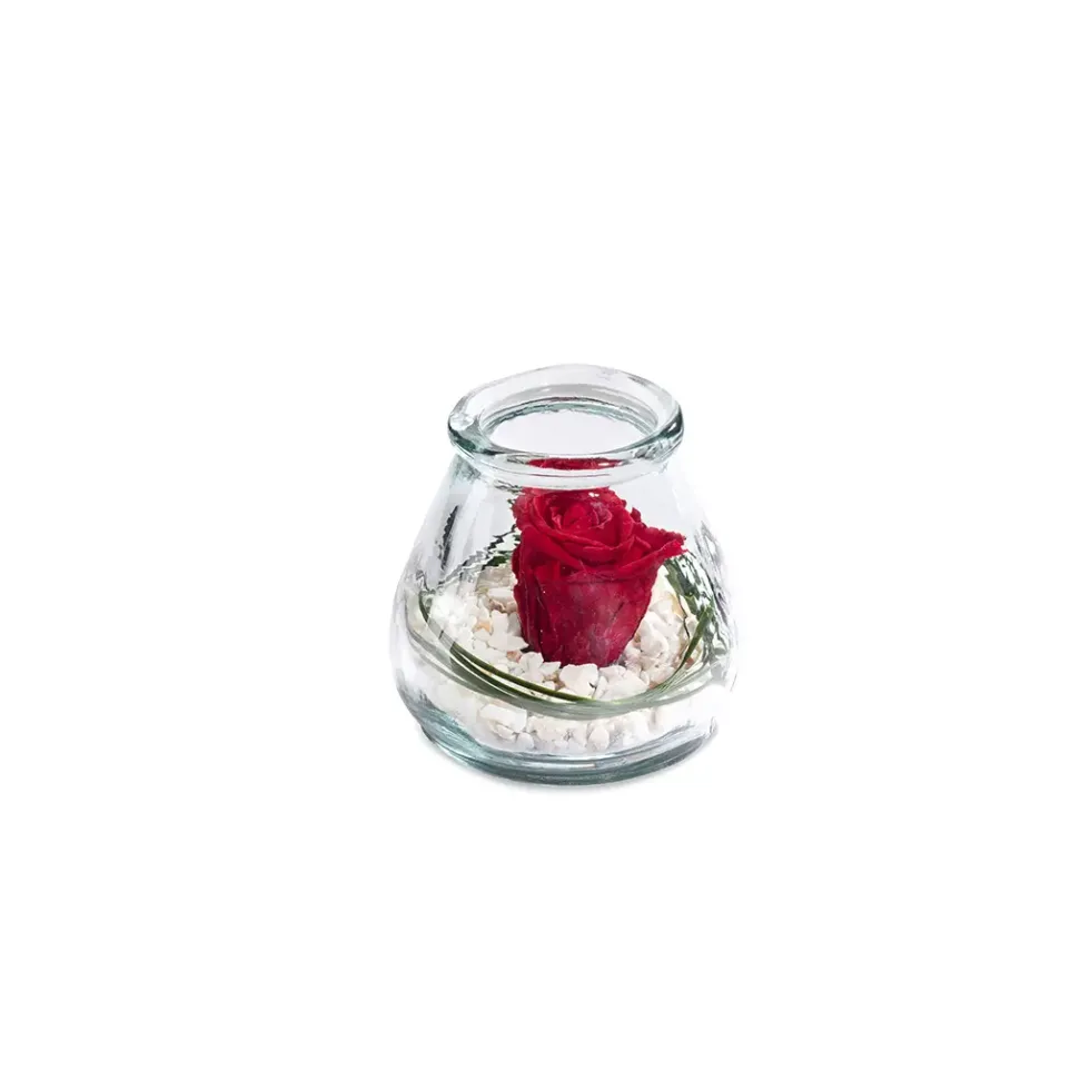 Verrine de végétaux stabilisés rose rouge Naturalys Samy S - Ø 10 x H 10 cm