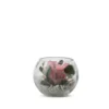 Verrine de végétaux stabilisés rose pastel et eucalyptus Naturalys Venezia 11 - Ø 11 x H 11 cm