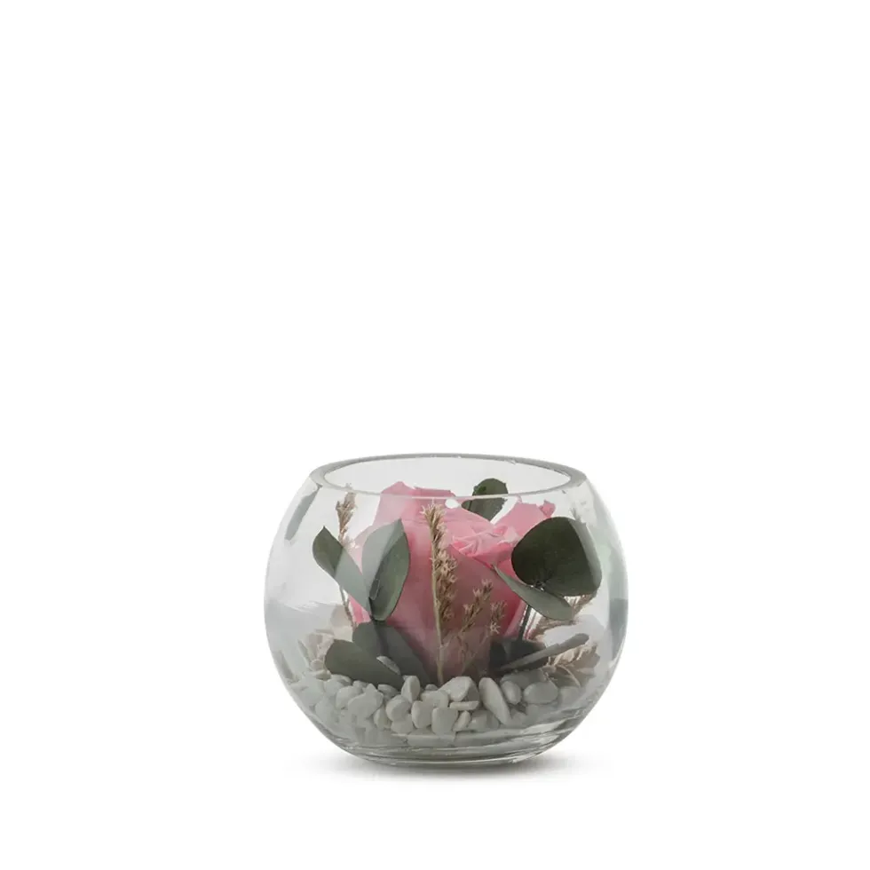 Verrine de végétaux stabilisés rose pastel et eucalyptus Naturalys Venezia 11 - Ø 11 x H 11 cm