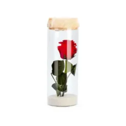 Verrine tube light rouge taille L Ø 8 x H 23 cm