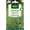 Verveine officinale Vilmorin - graines à semer