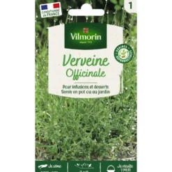 Verveine officinale Vilmorin - graines à semer