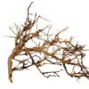 Vigne pour aquarium ou terrarium coloris marron Aquavie Broussa - 10 à 30 cm